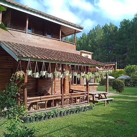 Villa Fresh Line Bongkar Номер фото